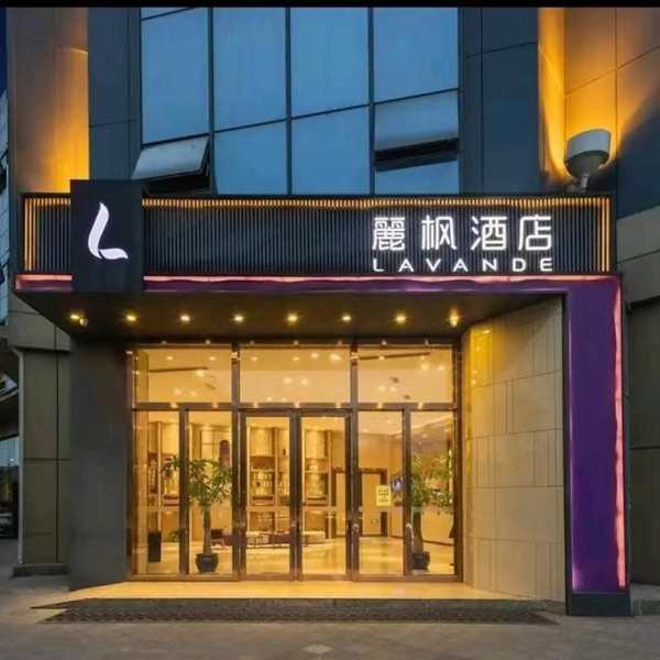 01.jpg